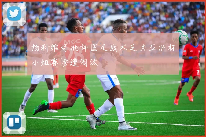 扬科维奇批评国足战术乏力亚洲杯小组赛惨遭淘汰